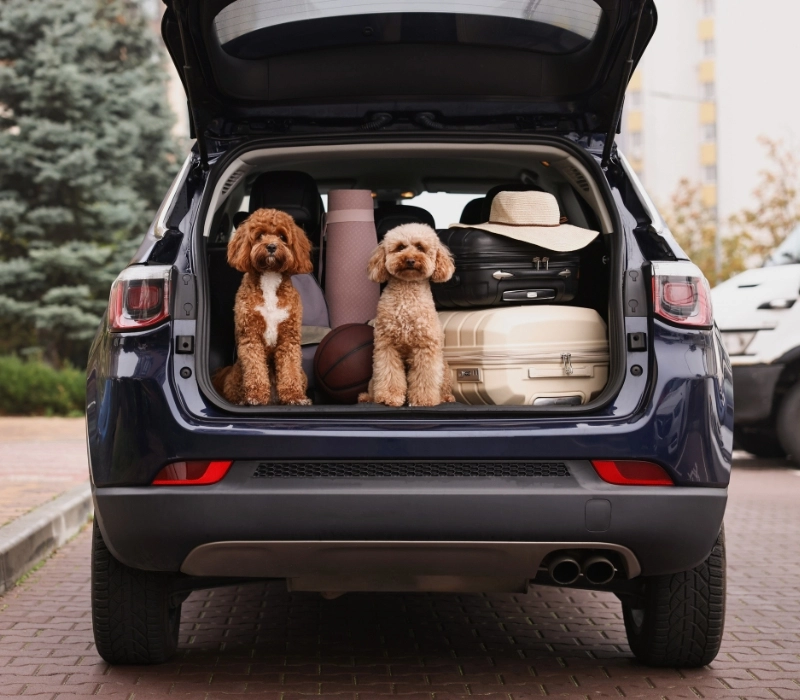 BR DETAILING CAR WASH em Bothell WA